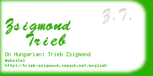 zsigmond trieb business card